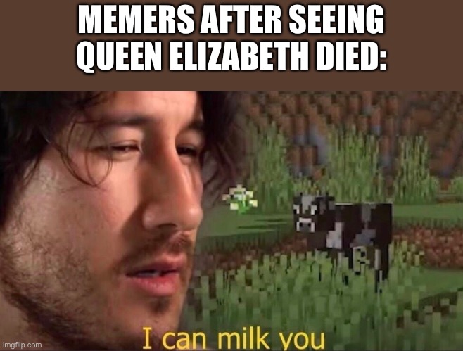 They clout | MEMERS AFTER SEEING QUEEN ELIZABETH DIED: | image tagged in i can milk you | made w/ Imgflip meme maker