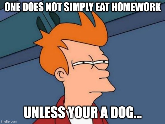 Futurama Fry | ONE DOES NOT SIMPLY EAT HOMEWORK; UNLESS YOUR A DOG... | image tagged in memes,futurama fry | made w/ Imgflip meme maker