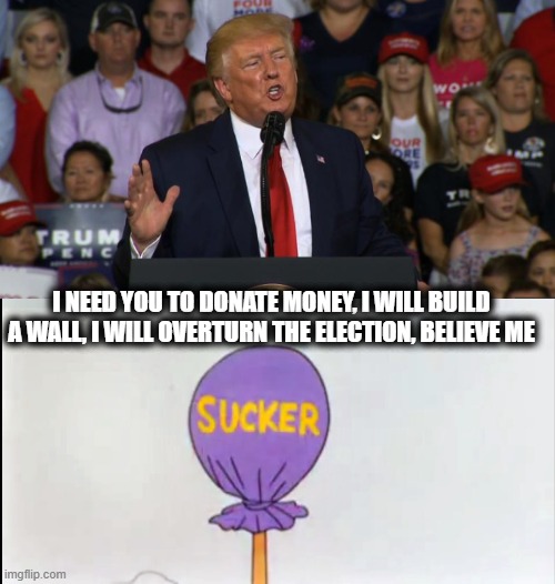 How gullible do you have to be? | I NEED YOU TO DONATE MONEY, I WILL BUILD A WALL, I WILL OVERTURN THE ELECTION, BELIEVE ME | image tagged in looney tunes sucker,memes,traitor,lock him up,politics,scammer | made w/ Imgflip meme maker