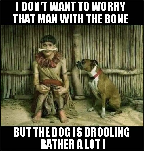 This Will End Badly ! | I DON'T WANT TO WORRY THAT MAN WITH THE BONE; BUT THE DOG IS DROOLING 
RATHER A LOT ! | image tagged in dogs,bone,nose,drooling | made w/ Imgflip meme maker