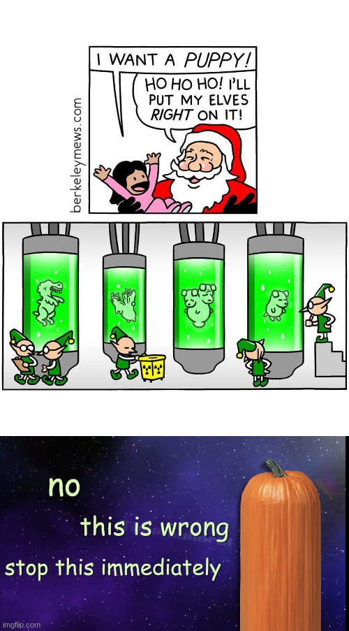 no no no | image tagged in pumpkin facts | made w/ Imgflip meme maker