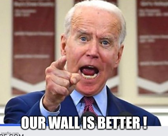Joe Biden no malarkey | OUR WALL IS BETTER ! | image tagged in joe biden no malarkey | made w/ Imgflip meme maker