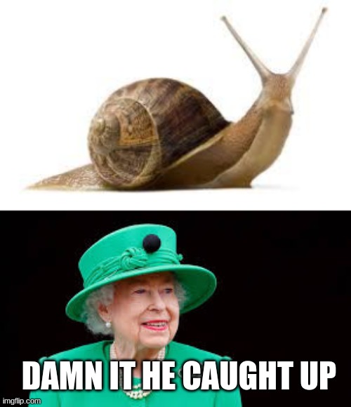 Immortality Lost. R.I.P Queen | DAMN IT HE CAUGHT UP | image tagged in snail,queen elizabeth,immortal | made w/ Imgflip meme maker