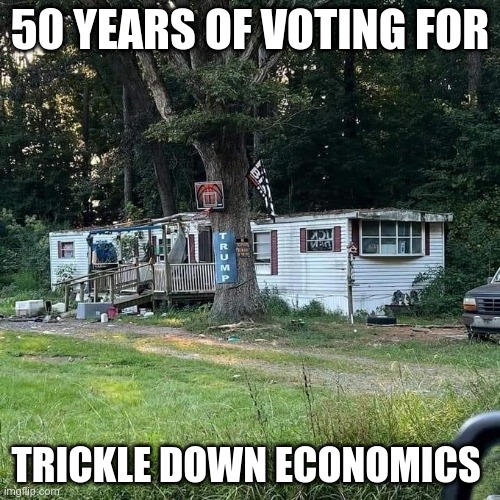 ¯\_(ツ)_/¯ | 50 YEARS OF VOTING FOR; TRICKLE DOWN ECONOMICS | image tagged in gop,republicans,fools,maga,trickle down,fascists | made w/ Imgflip meme maker