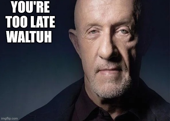 mike ehrmantraut | YOU'RE TOO LATE WALTUH | image tagged in mike ehrmantraut | made w/ Imgflip meme maker