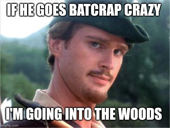 Robin Hood men in tights | IF HE GOES BATCRAP CRAZY I'M GOING INTO THE WOODS | image tagged in robin hood men in tights | made w/ Imgflip meme maker