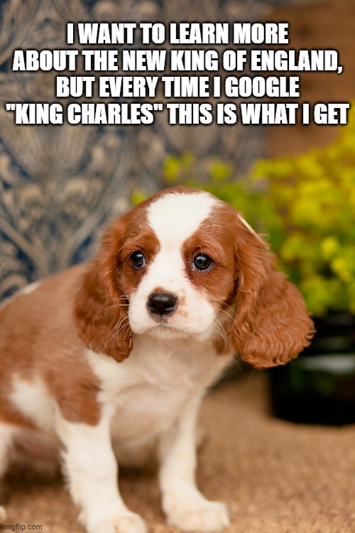 King Charles | I WANT TO LEARN MORE ABOUT THE NEW KING OF ENGLAND, BUT EVERY TIME I GOOGLE "KING CHARLES" THIS IS WHAT I GET | image tagged in queen elizabeth,king charles,royal family | made w/ Imgflip meme maker