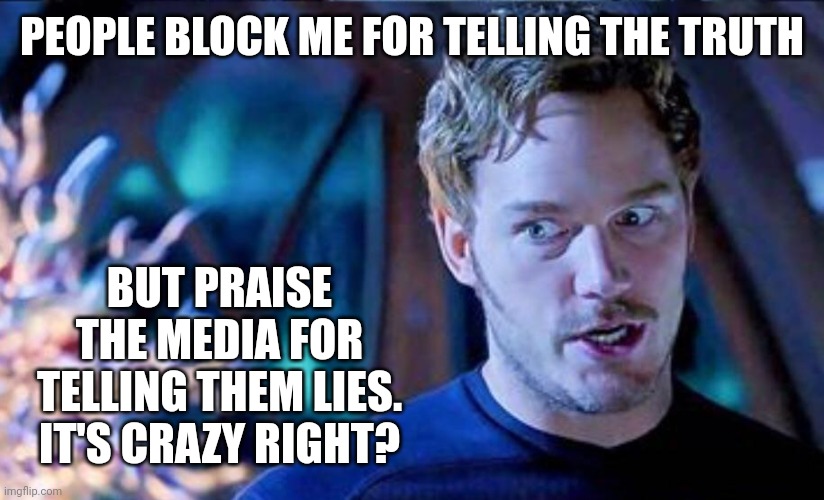 Bonkers. | PEOPLE BLOCK ME FOR TELLING THE TRUTH; BUT PRAISE THE MEDIA FOR TELLING THEM LIES. IT'S CRAZY RIGHT? | image tagged in memes | made w/ Imgflip meme maker