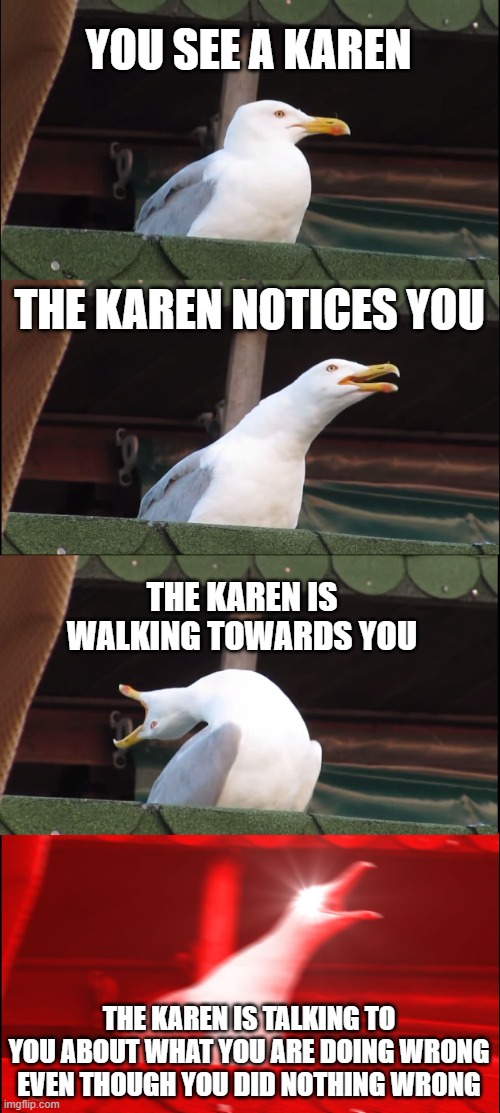 Karen | YOU SEE A KAREN; THE KAREN NOTICES YOU; THE KAREN IS WALKING TOWARDS YOU; THE KAREN IS TALKING TO YOU ABOUT WHAT YOU ARE DOING WRONG EVEN THOUGH YOU DID NOTHING WRONG | image tagged in memes,inhaling seagull,karen,panic,talking | made w/ Imgflip meme maker