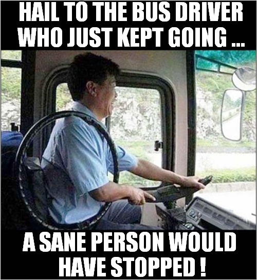 Dedication To Duty ! | HAIL TO THE BUS DRIVER
WHO JUST KEPT GOING ... A SANE PERSON WOULD
 HAVE STOPPED ! | image tagged in bus driver,duty,insane | made w/ Imgflip meme maker