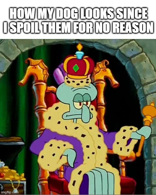 spoiled dog | HOW MY DOG LOOKS SINCE I SPOIL THEM FOR NO REASON | image tagged in king squidward,squidward,funny memes,spongebob,dog | made w/ Imgflip meme maker