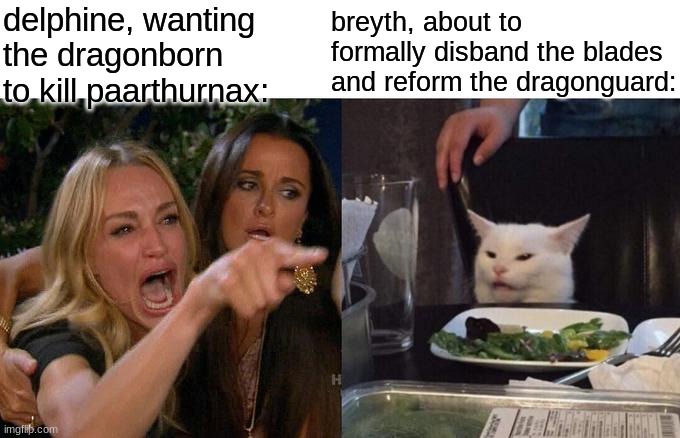 DBfav; reforming the dragonguard | delphine, wanting the dragonborn to kill paarthurnax:; breyth, about to formally disband the blades and reform the dragonguard: | image tagged in memes,woman yelling at cat | made w/ Imgflip meme maker