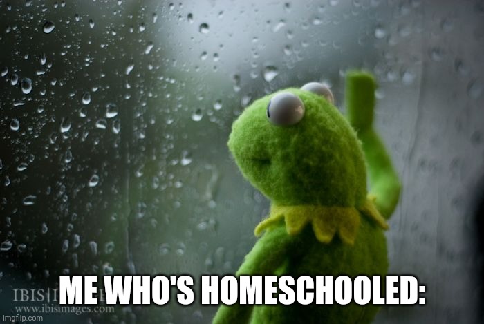 kermit window | ME WHO'S HOMESCHOOLED: | image tagged in kermit window | made w/ Imgflip meme maker