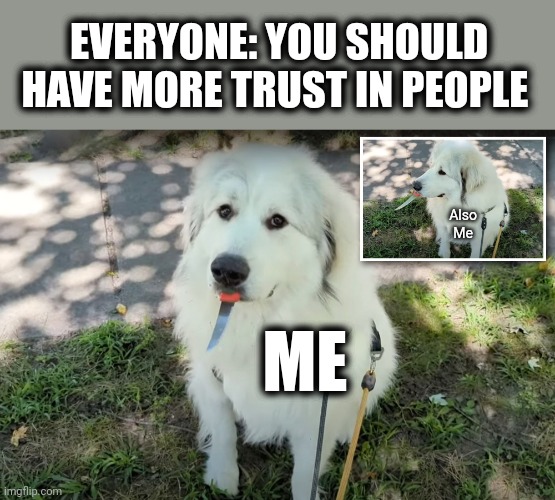 EVERYONE: YOU SHOULD HAVE MORE TRUST IN PEOPLE; Also
Me; ME | image tagged in memes,dog,knife,trust in people | made w/ Imgflip meme maker