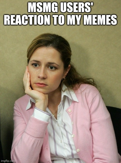 Pam Beasley Office | MSMG USERS' REACTION TO MY MEMES | image tagged in pam beasley office | made w/ Imgflip meme maker