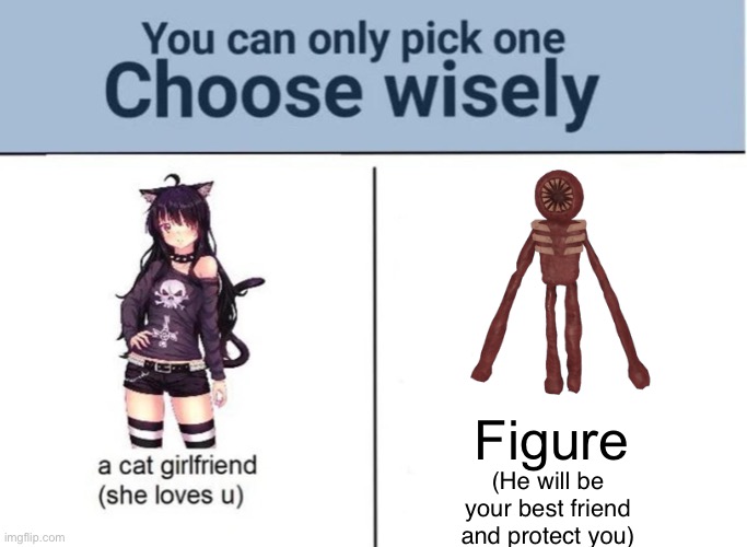 Choose wisely | Figure; (He will be your best friend and protect you) | image tagged in choose wisely | made w/ Imgflip meme maker