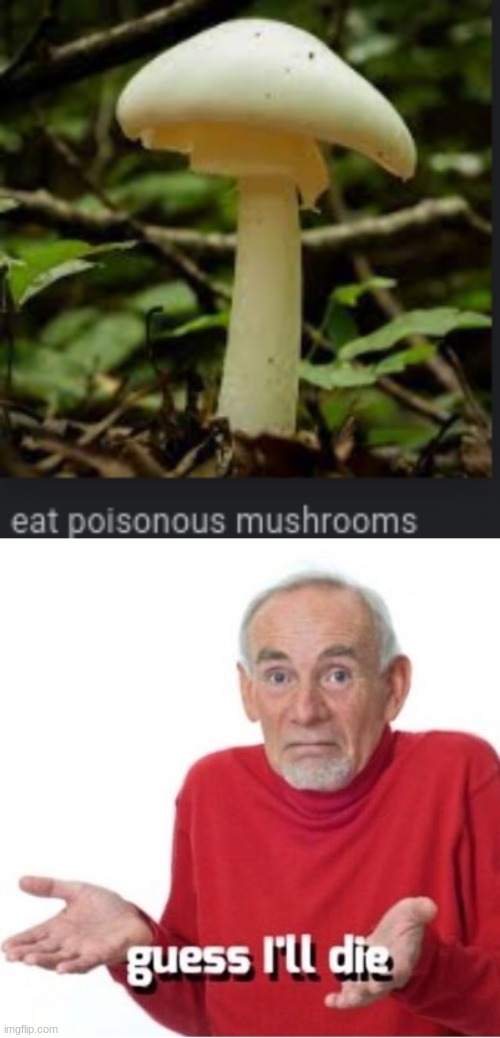 well you got no choice google has never lied | image tagged in guess i'll die,magic mushrooms | made w/ Imgflip meme maker