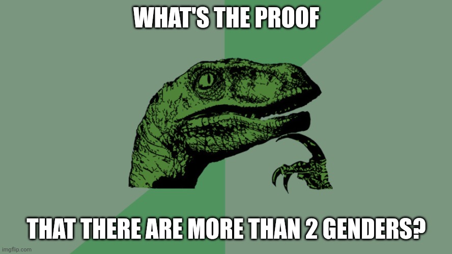 Can Someone HONESTLY Explain This Claim? | WHAT'S THE PROOF; THAT THERE ARE MORE THAN 2 GENDERS? | image tagged in philosophy dinosaur,gender,gender identity,2 genders,genders,proof | made w/ Imgflip meme maker