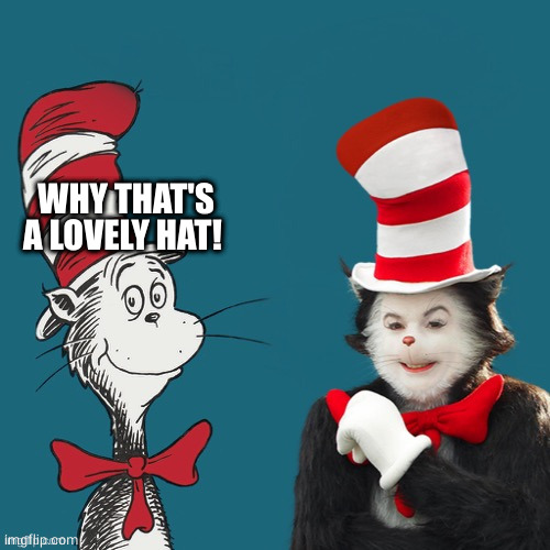 Cat and the hat meme | WHY THAT'S A LOVELY HAT! | image tagged in cat and the hat meme | made w/ Imgflip meme maker