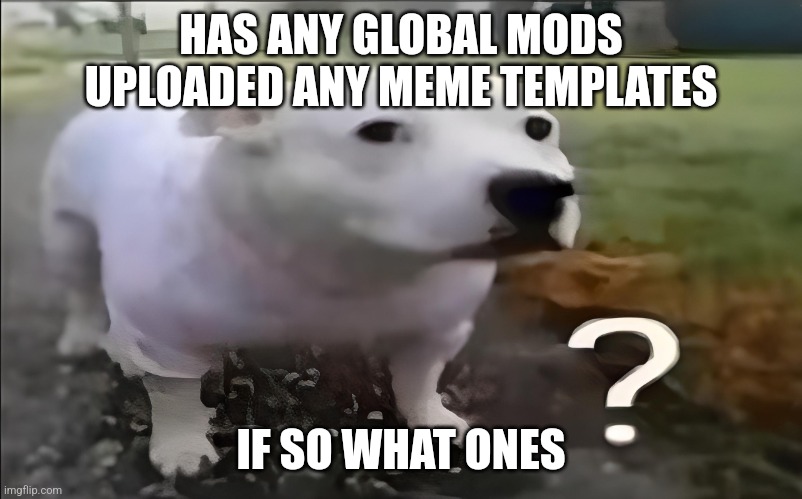 Huh Dog | HAS ANY GLOBAL MODS UPLOADED ANY MEME TEMPLATES; IF SO WHAT ONES | image tagged in huh dog | made w/ Imgflip meme maker