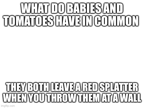 Blank White Template | WHAT DO BABIES AND TOMATOES HAVE IN COMMON; THEY BOTH LEAVE A RED SPLATTER WHEN YOU THROW THEM AT A WALL | image tagged in blank white template | made w/ Imgflip meme maker