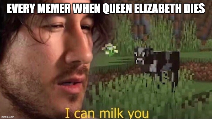 I can milk you (template) | EVERY MEMER WHEN QUEEN ELIZABETH DIES | image tagged in i can milk you template | made w/ Imgflip meme maker