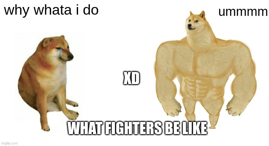 what fighters be like | ummmm; why whata i do; XD; WHAT FIGHTERS BE LIKE | image tagged in swole doge vs cheems flipped | made w/ Imgflip meme maker