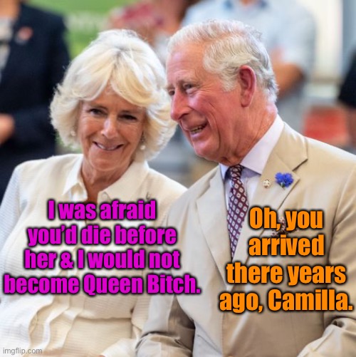 Charlie Boy | I was afraid you’d die before her & I would not become Queen Bitch. Oh, you arrived there years ago, Camilla. | image tagged in charlie boy | made w/ Imgflip meme maker