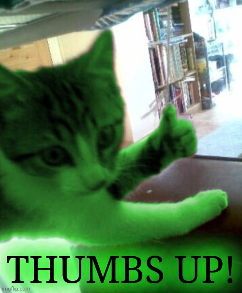 thumbs up RayCat | THUMBS UP! | image tagged in thumbs up raycat | made w/ Imgflip meme maker