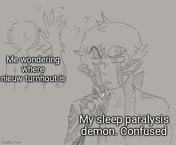 where is it! | Me wondering where nieuw turnhout is; My sleep paralysis demon. Confused | image tagged in we up naoki | made w/ Imgflip meme maker
