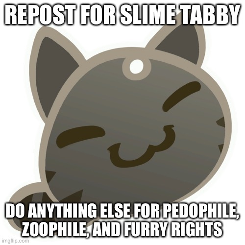 Tabby slime | REPOST FOR SLIME TABBY; DO ANYTHING ELSE FOR PEDOPHILE, ZOOPHILE, AND FURRY RIGHTS | image tagged in tabby slime | made w/ Imgflip meme maker