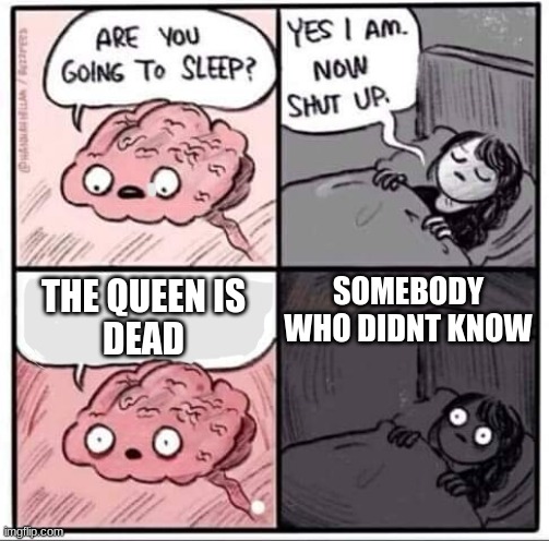 the queen is dead | SOMEBODY WHO DIDNT KNOW; THE QUEEN IS
DEAD | image tagged in are you going to sleep | made w/ Imgflip meme maker