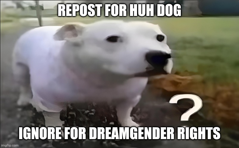 Huh Dog | REPOST FOR HUH DOG; IGNORE FOR DREAMGENDER RIGHTS | image tagged in huh dog | made w/ Imgflip meme maker