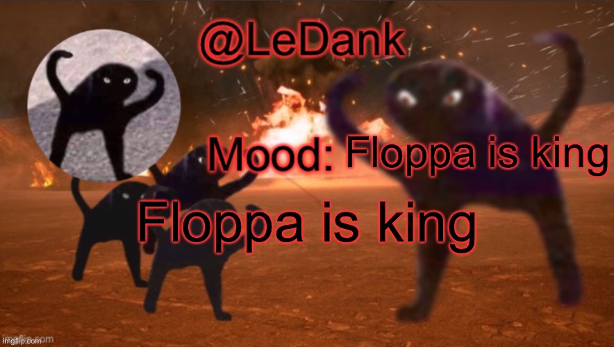 Floppa is king | Floppa is king; Floppa is king | image tagged in floppa is king | made w/ Imgflip meme maker