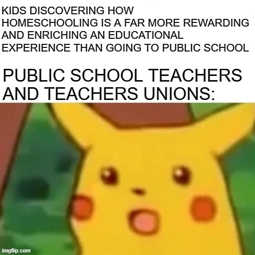 Homeschooling Isn't Just For The Religious | image tagged in memes,surprised pikachu,homeschool,kids,teachers,public education | made w/ Imgflip meme maker