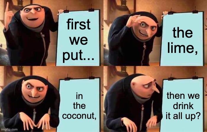 Gru's Plan Meme | first we put... the lime, in the coconut, then we drink it all up? | image tagged in memes,gru's plan | made w/ Imgflip meme maker