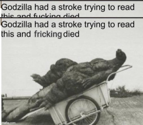 image tagged in godzilla,godzilla had a stroke trying to read this and fricking died | made w/ Imgflip meme maker
