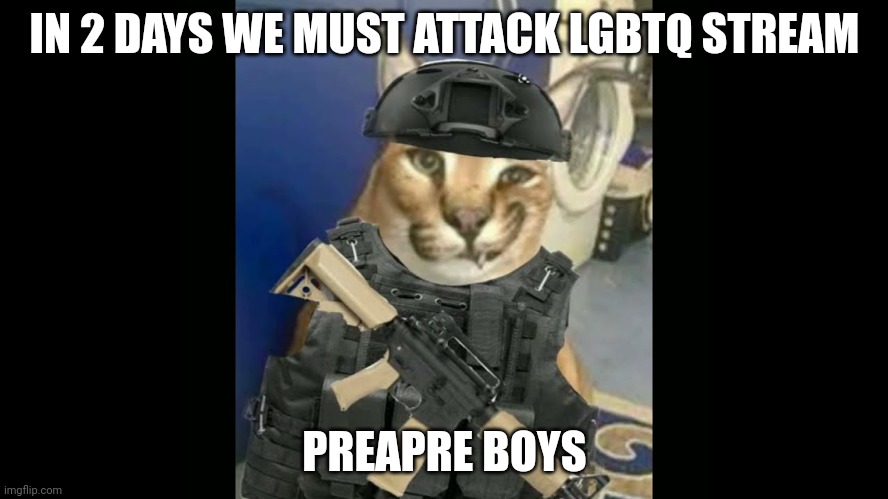 I will not be in operation BC I'm banned from commenting, you'll raid comments | IN 2 DAYS WE MUST ATTACK LGBTQ STREAM; PREAPRE BOYS | image tagged in floppa military annoucment | made w/ Imgflip meme maker