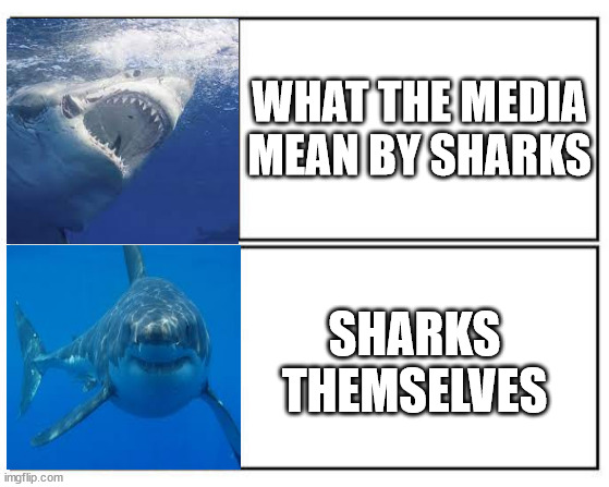 No - Yes | WHAT THE MEDIA MEAN BY SHARKS; SHARKS THEMSELVES | image tagged in no - yes | made w/ Imgflip meme maker