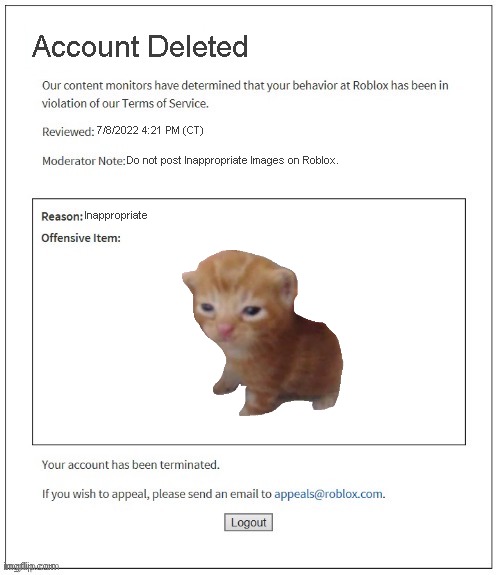 roblox hates cats | Account Deleted; 7/8/2022 4:21 PM (CT); Do not post Inappropriate Images on Roblox. Inappropriate | image tagged in moderation system | made w/ Imgflip meme maker