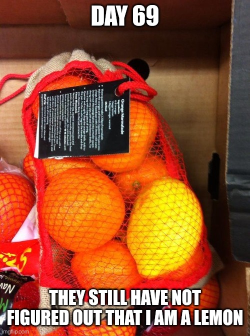 DAY 69; THEY STILL HAVE NOT FIGURED OUT THAT I AM A LEMON | made w/ Imgflip meme maker