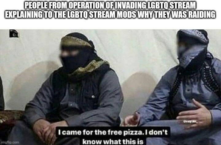 I came for the free pizza | PEOPLE FROM OPERATION OF INVADING LGBTQ STREAM EXPLAINING TO THE LGBTQ STREAM MODS WHY THEY WAS RAIDING | image tagged in i came for the free pizza | made w/ Imgflip meme maker