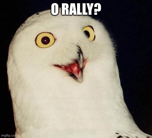 O RLY? | O RALLY? | image tagged in o rly | made w/ Imgflip meme maker