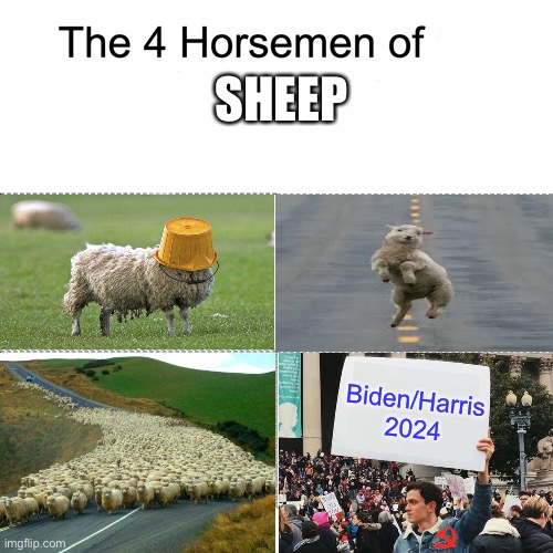 LOL | SHEEP; Biden/Harris 2024 | image tagged in four horsemen,sheep,biden 2024,trump 2024,democrats,communists | made w/ Imgflip meme maker