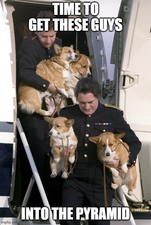 corgis | TIME TO GET THESE GUYS; INTO THE PYRAMID | image tagged in queen elizabeth | made w/ Imgflip meme maker