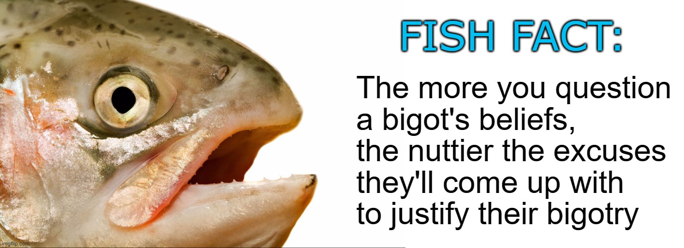 FISH FACT:; The more you question a bigot's beliefs, the nuttier the excuses they'll come up with to justify their bigotry | image tagged in statement salmon,blank white template | made w/ Imgflip meme maker