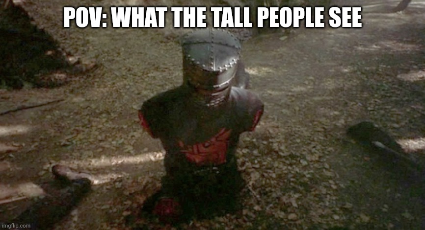 Tall | POV: WHAT THE TALL PEOPLE SEE | image tagged in monty python's holy grail limbless knight | made w/ Imgflip meme maker