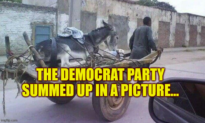 Democrats | THE DEMOCRAT PARTY SUMMED UP IN A PICTURE... | image tagged in democrats | made w/ Imgflip meme maker