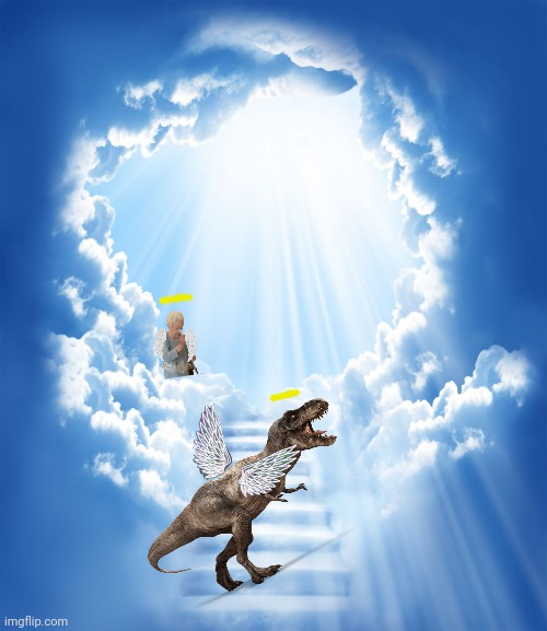 Heaven | image tagged in heaven | made w/ Imgflip meme maker