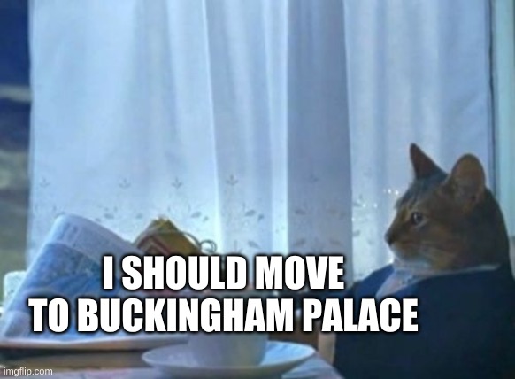 I Should Buy A Boat Cat |  I SHOULD MOVE TO BUCKINGHAM PALACE | image tagged in i should buy a boat cat,queen elizabeth,breaking news,castle,the most interesting cat in the world | made w/ Imgflip meme maker